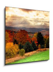 Obraz 1D - 50 x 50 cm F_F1290922 - vermont fall faliage - vermont padá faliage