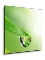 Sklenn obraz 1D - 50 x 50 cm F_F13364625 - shine water drop - svt vodn kapka