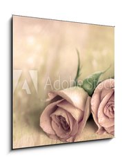 Obraz 1D - 50 x 50 cm F_F13808846 - zwei rosen