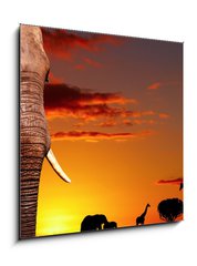 Obraz 1D - 50 x 50 cm F_F14132001 - African nature concept