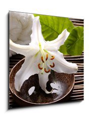 Obraz   Spa composition of white madonna lily, 50 x 50 cm