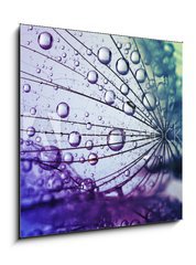 Obraz 1D - 50 x 50 cm F_F146436696 -  dandelion flower background