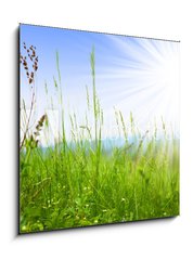 Sklenn obraz 1D - 50 x 50 cm F_F14694795 - Grass