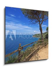 Obraz 1D - 50 x 50 cm F_F14698230 - Toscana, passeggiata sul mare