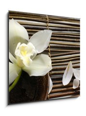 Skleněný obraz 1D - 50 x 50 cm F_F14760003 - bowl of orchid, petal on bamboo mat - miska orchideje, okvětní lístek na bambusové rohoži