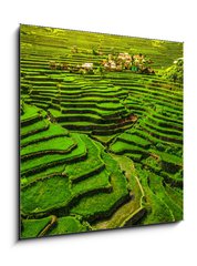 Sklenn obraz 1D - 50 x 50 cm F_F149173754 - Batad Rice Terraces in Northern Luzon, Philippines.
