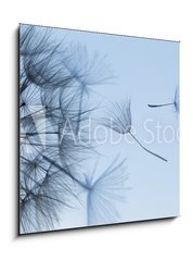 Obraz 1D - 50 x 50 cm F_F149304809 - Dandelion silhouette fluffy flower on blue sunset sky