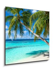 Obraz   coco palms on tropical paradise beach with turquoise blue water and blue sky, 50 x 50 cm
