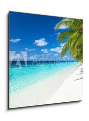 Obraz 1D - 50 x 50 cm F_F151010448 - coco palms on tropical paradise beach with turquoise blue water and blue sky