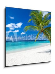 Obraz 1D - 50 x 50 cm F_F151310725 - coco palm on tropical paradise island dream beach - kokosov palma na pli sn tropickho rje