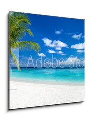 Sklenn obraz 1D - 50 x 50 cm F_F151547263 - coco palm panorama wide format on tropical paradise dream beach
