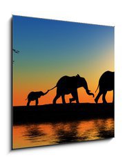 Sklenn obraz 1D - 50 x 50 cm F_F15223089 - Family of elephants. - Rodina slon.