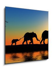 Obraz 1D - 50 x 50 cm F_F15223089 - Family of elephants. - Rodina slonů.
