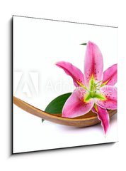 Obraz   Beautiful lily flower, 50 x 50 cm