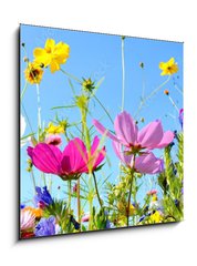 Obraz 1D - 50 x 50 cm F_F157514845 - Blumenwiese - Hintergrund Panorama - Sommerblumen