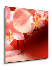 Sklenn obraz 1D - 50 x 50 cm F_F16571895 - Orchid red background