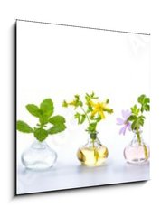Sklenn obraz 1D - 50 x 50 cm F_F166862791 - Herbs for alternative medicine, natural cosmetics and kitchen - Banner, Panorama - isolated on white background