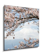 Obraz 1D - 50 x 50 cm F_F167625752 - Fuji mountain  in japan as background with sakura blossom as foreground