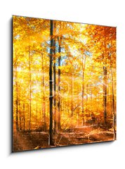 Sklenn obraz 1D - 50 x 50 cm F_F168212681 - Wald Panorama im goldenen Herbst