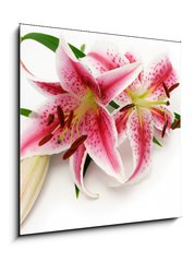 Sklenn obraz 1D - 50 x 50 cm F_F16841573 - Lily - Lilie