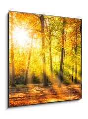 Obraz 1D - 50 x 50 cm F_F169049384 - Buntes Herbstwald Panorama im Sonnenlicht - Panorama Buntes Herbstwald im Sonnenlicht