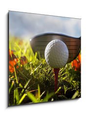 Obraz   Golf club and ball in grass, 50 x 50 cm
