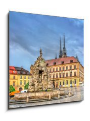 Sklenn obraz 1D - 50 x 50 cm F_F171778400 - Parnas Fountain on Zerny trh square in the old town of Brno, Czech Republic