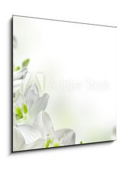 Obraz 1D - 50 x 50 cm F_F17740159 - flowers