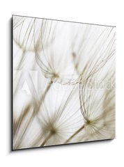 Obraz 1D - 50 x 50 cm F_F180759298 - Dandelion seed closeup - Pampelika semena closeup