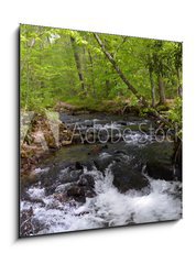 Obraz 1D - 50 x 50 cm F_F182860867 - Whitewater Stream