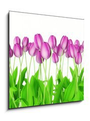 Sklenn obraz 1D - 50 x 50 cm F_F18362257 - tulips