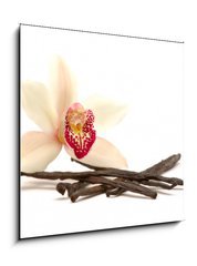Sklenn obraz 1D - 50 x 50 cm F_F18845882 - Orchidee - Orchidea