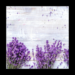 Obraz 1D - 50 x 50 cm F_F188691240 - Bunch of dry lavender flowers on rustic background top view mock