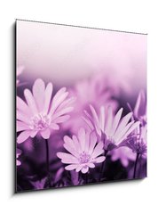 Sklenn obraz 1D - 50 x 50 cm F_F19781322 - Pink floral background