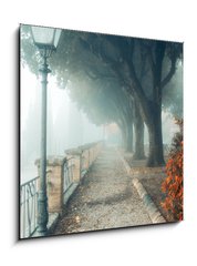 Obraz 1D - 50 x 50 cm F_F202723987 - A misty morning autumn landscape, an old park foggy alley. Great oak tree park alley - Zamlžené podzimní krajina, mlhavá alej starého parku. Velká dubová parková alej
