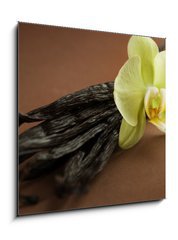 Sklenn obraz 1D - 50 x 50 cm F_F20326505 - Beautiful Vanilla
