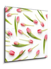 Obraz 1D - 50 x 50 cm F_F205206437 - Pink tulip pattern on the white bacjkground. - Rov Tulipn vzor na blm bacjkground.