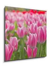Obraz 1D - 50 x 50 cm F_F22107035 -