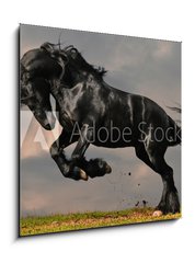 Sklenn obraz 1D - 50 x 50 cm F_F22600957 - black friesian stallion gallop in sunset - ern frsk hebec cval v zpadu slunce