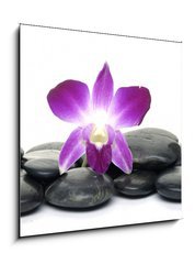 Sklenn obraz 1D - 50 x 50 cm F_F22713595 - Purple orchid and black stones