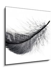 Sklenn obraz 1D - 50 x 50 cm F_F234006556 - Single black floating feather on white background.