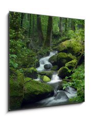 Obraz 1D - 50 x 50 cm F_F23470543 - Mossy waterfall