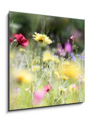 Obraz 1D - 50 x 50 cm F_F236066014 - wildblumenwiese natur banner pastell