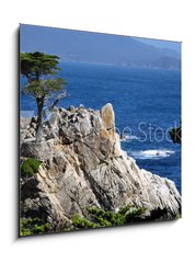 Sklenn obraz 1D - 50 x 50 cm F_F23885675 - The Lone Cypress in Pebble Beach, 17 Mile Drive, Monterey