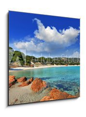 Obraz 1D - 50 x 50 cm F_F24170972 - plage