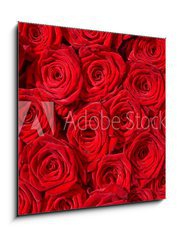 Obraz 1D - 50 x 50 cm F_F24548244 - Rote Rosen, Symbol f r Liebe, Rosenstrau 