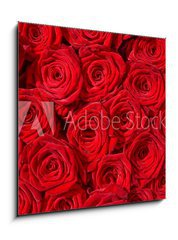 Sklenn obraz 1D - 50 x 50 cm F_F24548244 - Rote Rosen, Symbol f r Liebe, Rosenstrau  - Rote Rosen, symbol Liebe, Rosenstrau