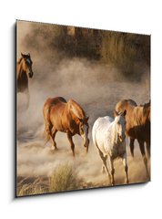 Sklenn obraz 1D - 50 x 50 cm F_F2467066 - wild horses running