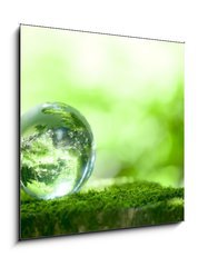 Obraz 1D - 50 x 50 cm F_F25879778 -