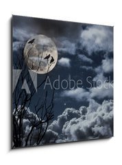 Obraz 1D - 50 x 50 cm F_F26290329 - Full moon - plnk